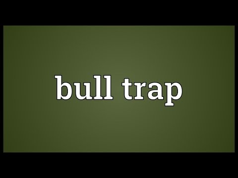 Header of bull trap