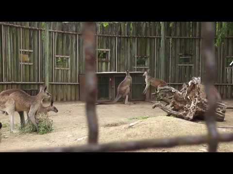 埼玉こども動物自然公園