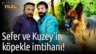 Kuzey Yıldızı İlk Aşk | Sefer ve Kuzey'in Köpekle İmtihanı!