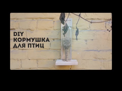 Простая поилка для кур своими руками Простая поилка для кур своими руками