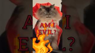 Am I Evil? (Cat Edition) #Metalhead