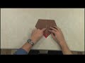 2 - Robert Lang Teaches Origami: Duck - IMA