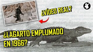 3 Críptidos Que Podrían Ser Reales