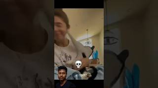 Only Cat Fight Place Help Me Like Subscribe