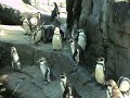 Zoo Denmark