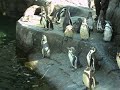 Zoo Denmark