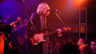 Watch Tom Petty Dogs On The Run video