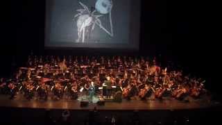 Watch Danny Elfman The Nightmare Before Christmas video
