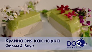 Кулинария Как Наука - Фильм 4. Вкус - Документальный Фильм