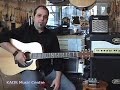 Fishman Aura Dreadnaught Pedal