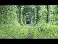緑のトンネルを走る電車／ウクライナ／クレヴァニ