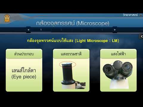 การใช้กล้องจุลทรรศน์ วิทยาศาสตร์ ม.1