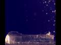Foto pequena motto go swimming