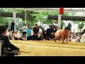 第５１回全国選抜大学実業団対抗相撲和歌山大会個人決勝