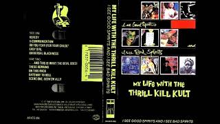 Watch My Life With The Thrill Kill Kult Do You Fear for Your Child video