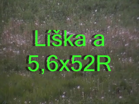 Odstřel lišky
