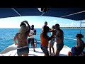 Saona