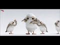 ♫ HAPPY MUSIC FOR KIDS ☀ FUNNY VIDEO ♕ BEST RELAXING & EDUCATION MUSIC FOR CHILDREN
