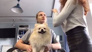 Видео Архитектура бровей от Виктор Мартыненко, Черкесская улица, Ростов-на-Дону, Россия