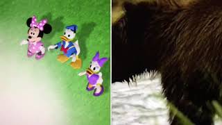 Goofy On Mars Vs Land Of The Giant Bears Old Vs New