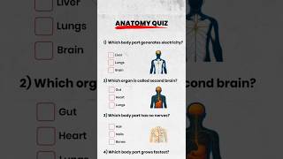 Anatomy Quiz
