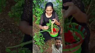 Duniya 700 Ki Subse Payari Awaz