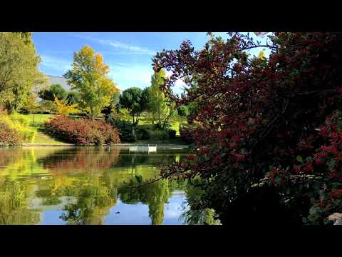 Watching video Clear Water. Relax Music for Meditation, Sleep, Healing Therapy, Yoga