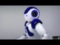 Cool Robots - Aldebaran Robotics_ Nao (www.CoolRobots.Net)
