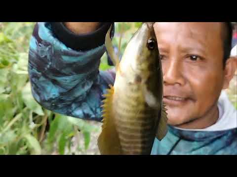 SEPATNYA LAGI NGANTRI..