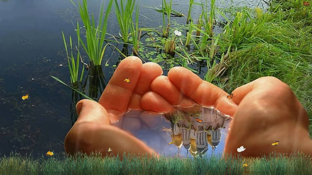 Как выбрать зеркальный фотоаппарат для начинающего недорогой Как выбрать зеркальный фотоаппарат для начинающего недорогой