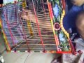 image Sangkar Burung Lomba Air Brush