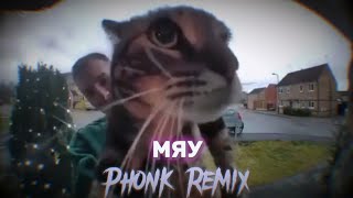 SAVUOON - МЯУ (Phonk Remix)