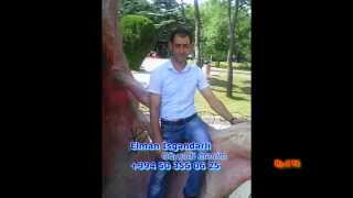 Elman Isgenderli Goychedi Menim 2014