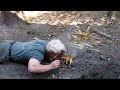 survival