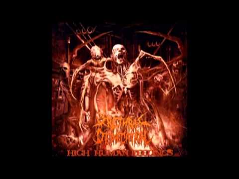 Urethral Defecation - High Human Feelings (2013) Full Album