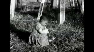 İstanbul 1960.Yillar Motion Video