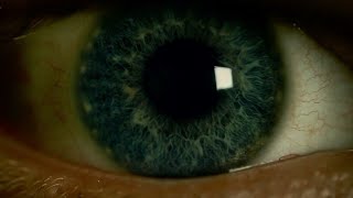 American Ultra - Fight Scene 2019 Syoutu.behe85Qv7-Bxc Syoutu.behe85Qv7-Bxc