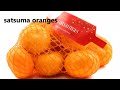 learn fruit names