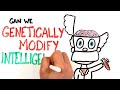 Can We Genetically Improve Intelligence?
