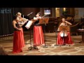 Johannes Brahms Hungarian dance № 5 Eos string quartet