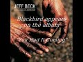Blackbird by Jeff Beck