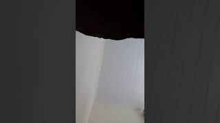 24 De Junho De 2020