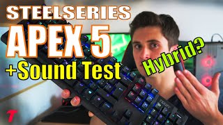 SteelSeries Apex 5 Keyboard Review - It Looks Amazing But.... (Typing Test/Sound Test)