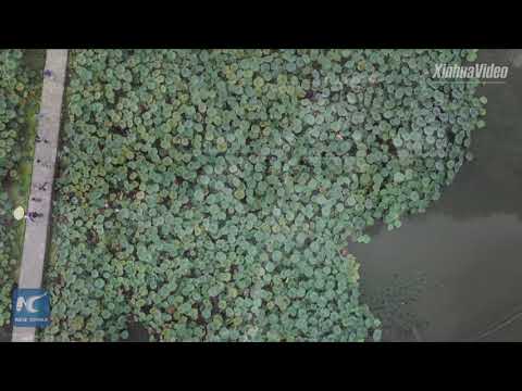 Unbelievable Places That Actually Exist