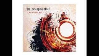 Watch Pineapple Thief My Bleeding Hand video