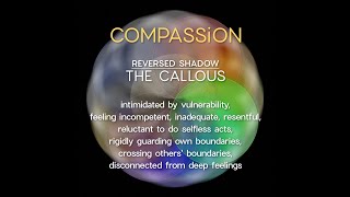 Compassion | D4 feminine energy | #SHADOWiNTEGRATiON
