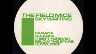 Watch Field Mice Below The Stars video