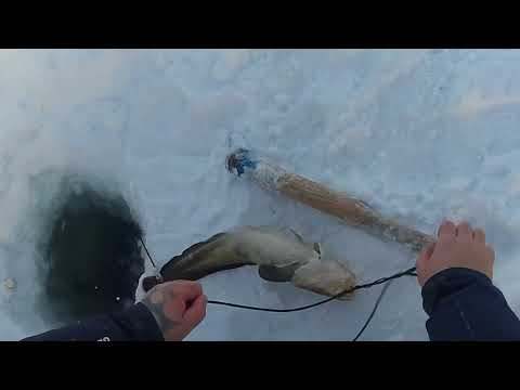 зимняя ночная рыбалка 2018 г зимняя ночная рыбалка 2018 г