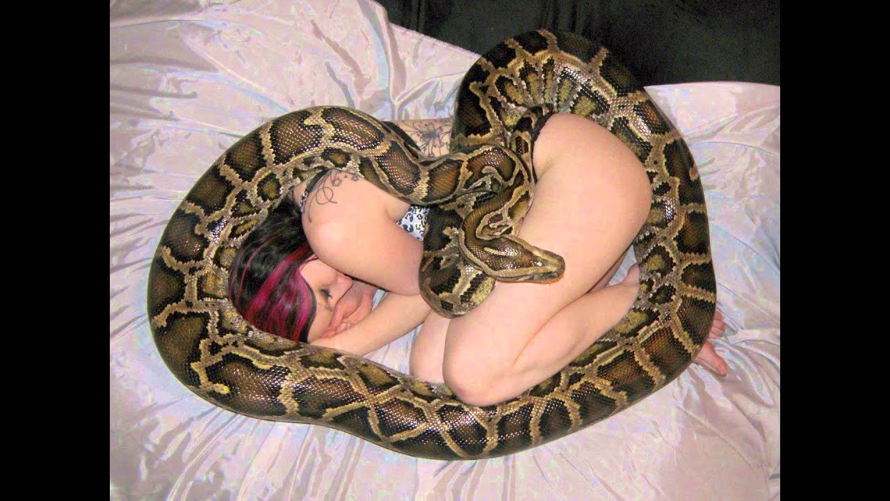 Anaconda femdom