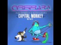 Audiophonic & Mandragora - Cyber Baba ( Capital Monkey Rmx )